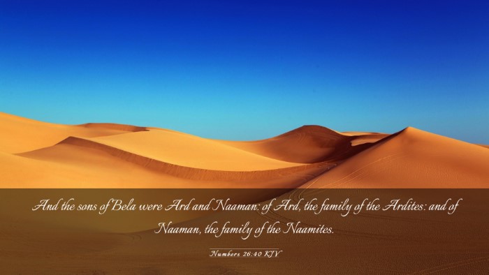 Picture 03 - Numbers 26:40 KJV Desktop Wallpaper - And the sons of Bela were Ard and Naaman: of Ard, - Desktop Bible Verse Wallpaper