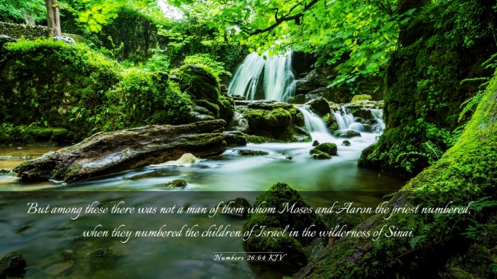 Picture 03 - Numbers 26:64 KJV Desktop Wallpaper - But among these there was not a man of them whom - Desktop Bible Verse Wallpaper