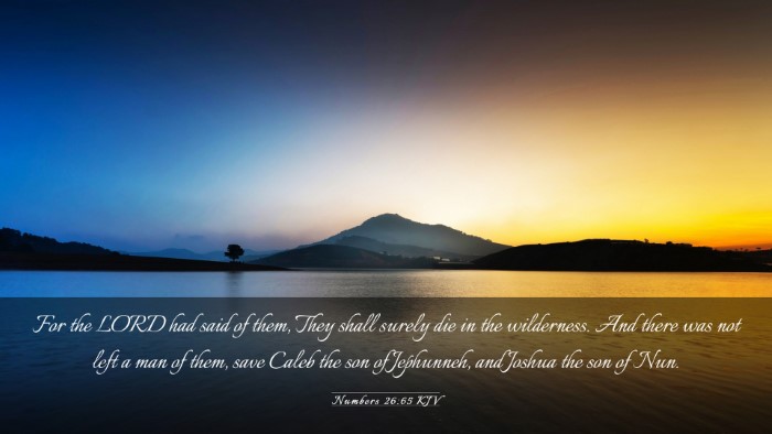 Picture 03 - Numbers 26:65 KJV Desktop Wallpaper - For the LORD had said of them, They shall surely - Desktop Bible Verse Wallpaper