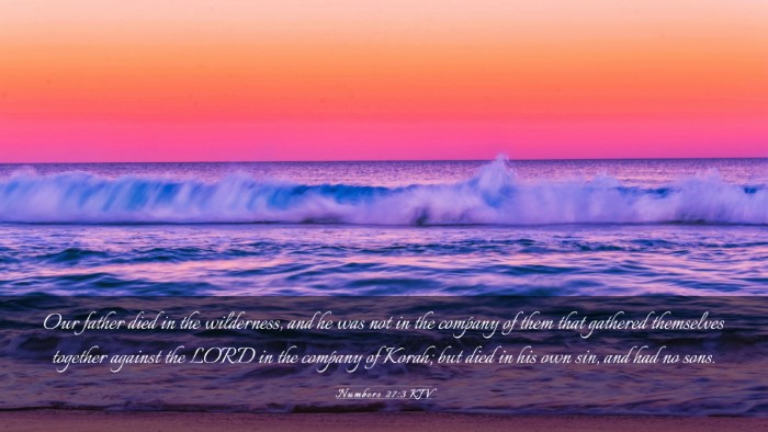 Picture 03 - Numbers 27:3 KJV Desktop Wallpaper - Our father died in the wilderness, and he was not - Desktop Bible Verse Wallpaper