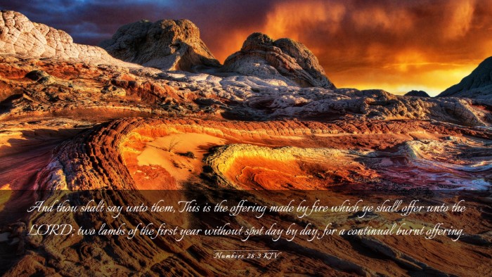 Picture 03 - Numbers 28:3 KJV Desktop Wallpaper - And thou shalt say unto them, This is the - Desktop Bible Verse Wallpaper