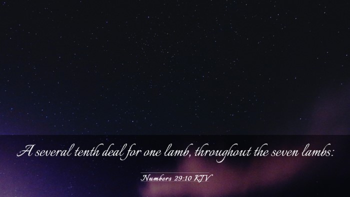 Picture 03 - Numbers 29:10 KJV Desktop Wallpaper - A several tenth deal for one lamb, throughout the - Desktop Bible Verse Wallpaper