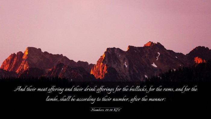 Picture 03 - Numbers 29:18 KJV Desktop Wallpaper - And their meat offering and their drink offerings - Desktop Bible Verse Wallpaper