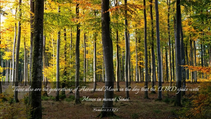 Picture 03 - Numbers 3:1 KJV Desktop Wallpaper - These also are the generations of Aaron and Moses - Desktop Bible Verse Wallpaper
