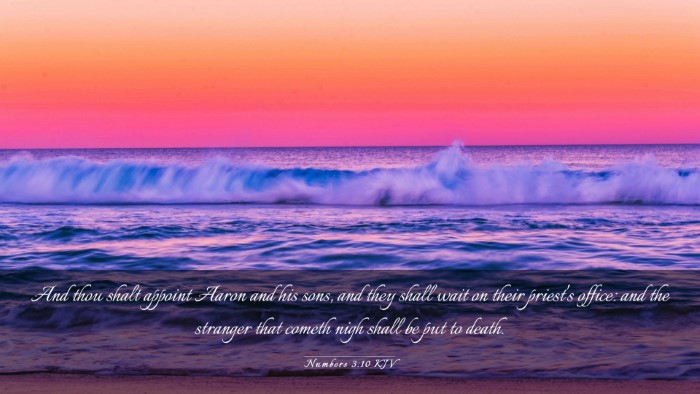 Picture 03 - Numbers 3:10 KJV Desktop Wallpaper - And thou shalt appoint Aaron and his sons, and - Desktop Bible Verse Wallpaper