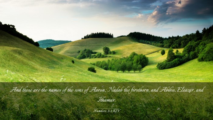 Picture 03 - Numbers 3:2 KJV Desktop Wallpaper - And these are the names of the sons of Aaron; - Desktop Bible Verse Wallpaper