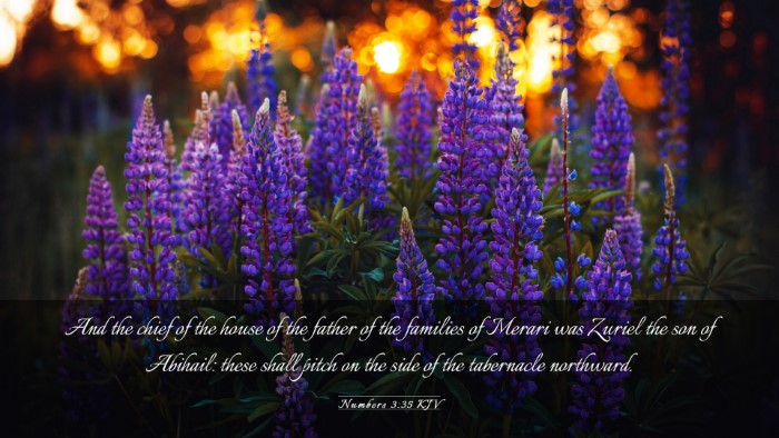 Picture 03 - Numbers 3:35 KJV Desktop Wallpaper - And the chief of the house of the father of the - Desktop Bible Verse Wallpaper