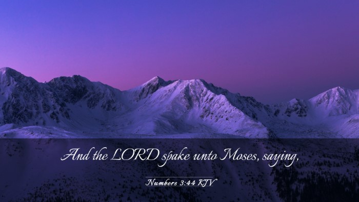 Picture 03 - Numbers 3:44 KJV Desktop Wallpaper - And the LORD spake unto Moses, - Desktop Bible Verse Wallpaper