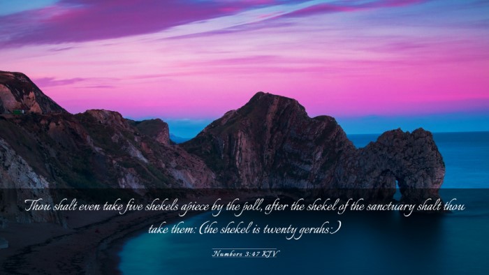 Picture 03 - Numbers 3:47 KJV Desktop Wallpaper - Thou shalt even take five shekels apiece by the - Desktop Bible Verse Wallpaper