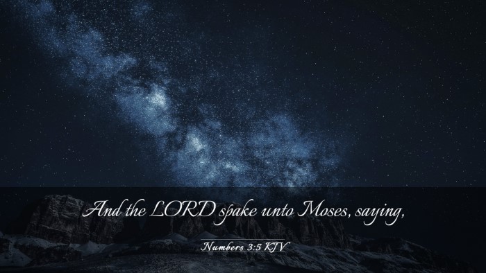 Picture 03 - Numbers 3:5 KJV Desktop Wallpaper - And the LORD spake unto Moses, - Desktop Bible Verse Wallpaper