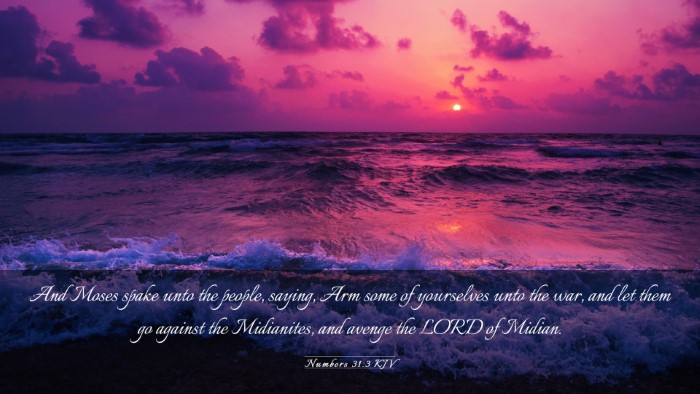 Picture 03 - Numbers 31:3 KJV Desktop Wallpaper - And Moses spake unto the people, saying, Arm some - Desktop Bible Verse Wallpaper