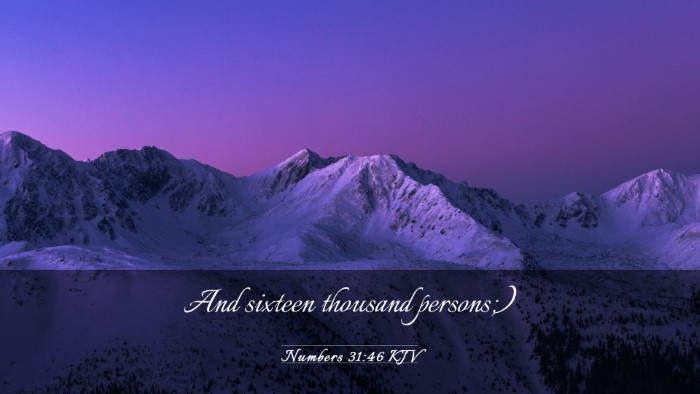 Picture 03 - Numbers 31:46 KJV Desktop Wallpaper - And sixteen thousand - Desktop Bible Verse Wallpaper