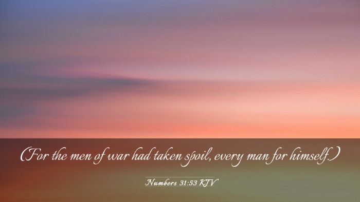 Picture 03 - Numbers 31:53 KJV Desktop Wallpaper - (For the men of war had taken spoil, every man - Desktop Bible Verse Wallpaper