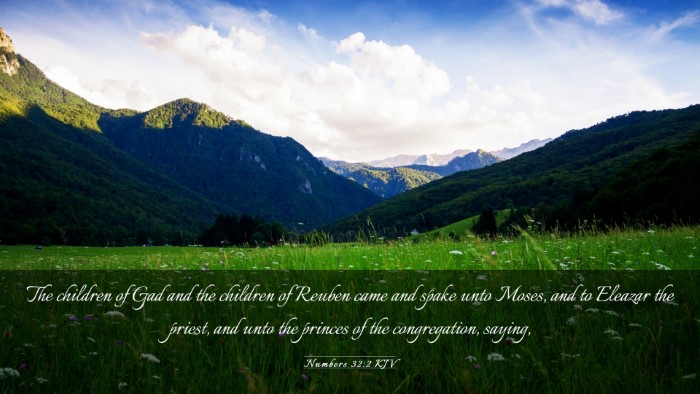 Picture 03 - Numbers 32:2 KJV Desktop Wallpaper - The children of Gad and the children of Reuben - Desktop Bible Verse Wallpaper