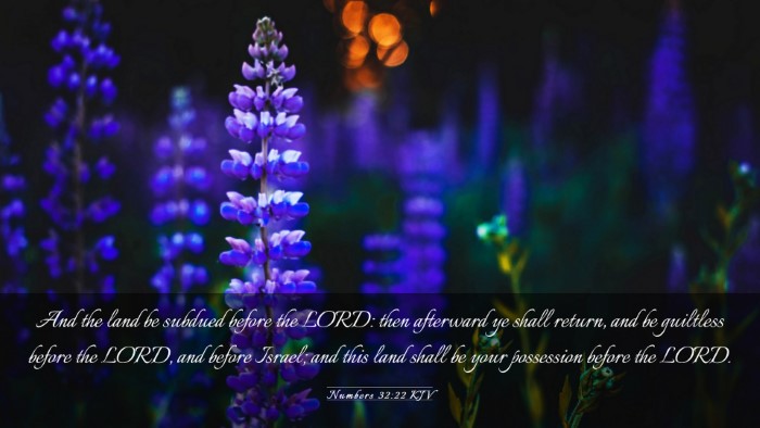 Picture 03 - Numbers 32:22 KJV Desktop Wallpaper - And the land be subdued before the LORD: then - Desktop Bible Verse Wallpaper