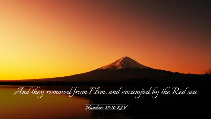 Picture 03 - Numbers 33:10 KJV Desktop Wallpaper - And they removed from Elim, and encamped by the - Desktop Bible Verse Wallpaper