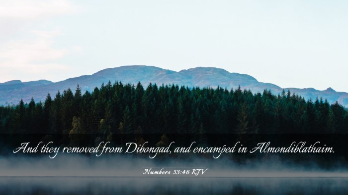 Picture 03 - Numbers 33:46 KJV Desktop Wallpaper - And they removed from Dibongad, and encamped in - Desktop Bible Verse Wallpaper