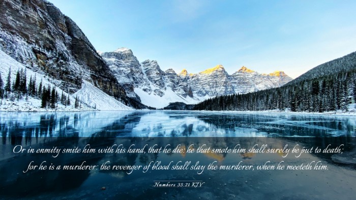 Picture 03 - Numbers 35:21 KJV Desktop Wallpaper - Or in enmity smite him with his hand, that he - Desktop Bible Verse Wallpaper