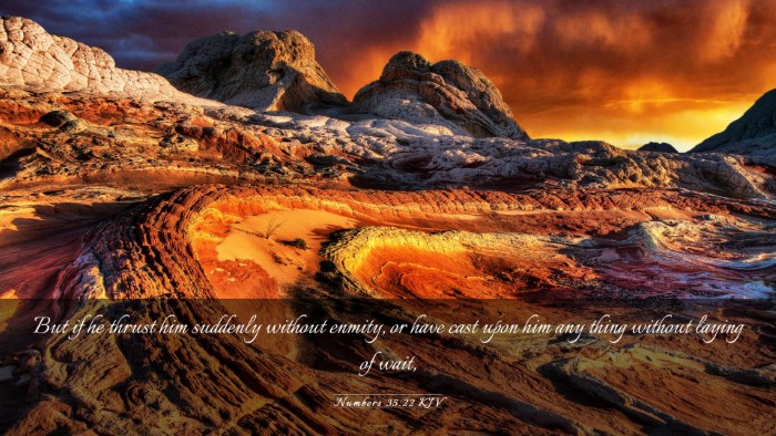 Picture 03 - Numbers 35:22 KJV Desktop Wallpaper - But if he thrust him suddenly without enmity, or - Desktop Bible Verse Wallpaper