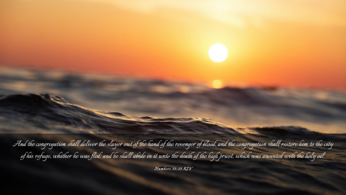 Picture 03 - Numbers 35:25 KJV Desktop Wallpaper - And the congregation shall deliver the slayer out - Desktop Bible Verse Wallpaper