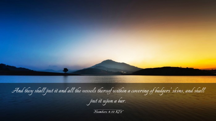 Picture 03 - Numbers 4:10 KJV Desktop Wallpaper - And they shall put it and all the vessels thereof - Desktop Bible Verse Wallpaper