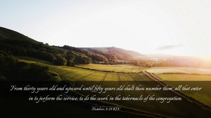 Picture 03 - Numbers 4:23 KJV Desktop Wallpaper - From thirty years old and upward until fifty - Desktop Bible Verse Wallpaper