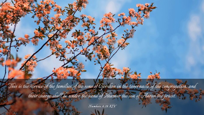 Picture 03 - Numbers 4:28 KJV Desktop Wallpaper - This is the service of the families of the sons - Desktop Bible Verse Wallpaper