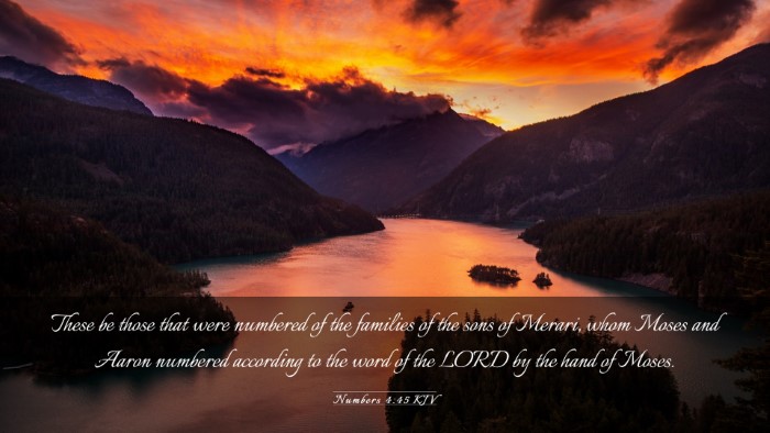 Picture 03 - Numbers 4:45 KJV Desktop Wallpaper - These be those that were numbered of the families - Desktop Bible Verse Wallpaper