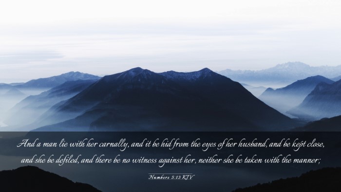 Picture 03 - Numbers 5:13 KJV Desktop Wallpaper - And a man lie with her carnally, and it be hid - Desktop Bible Verse Wallpaper