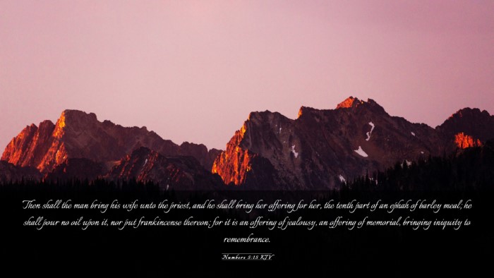 Picture 03 - Numbers 5:15 KJV Desktop Wallpaper - Then shall the man bring his wife unto the - Desktop Bible Verse Wallpaper