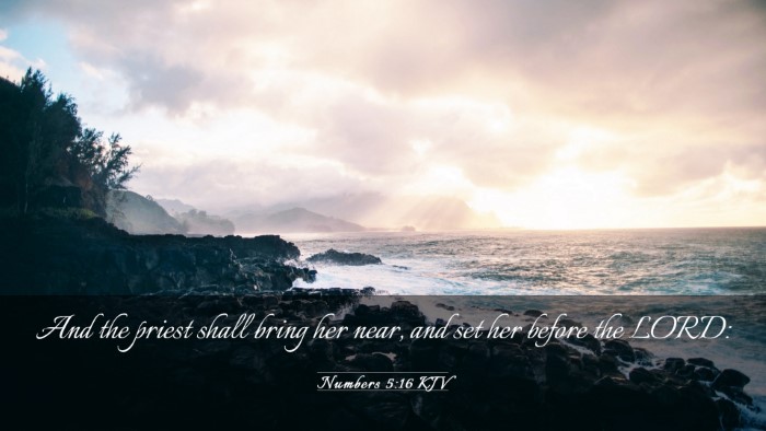 Picture 03 - Numbers 5:16 KJV Desktop Wallpaper - And the priest shall bring her near, and set her - Desktop Bible Verse Wallpaper