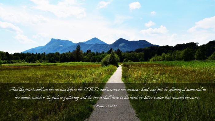 Picture 03 - Numbers 5:18 KJV Desktop Wallpaper - And the priest shall set the woman before the - Desktop Bible Verse Wallpaper