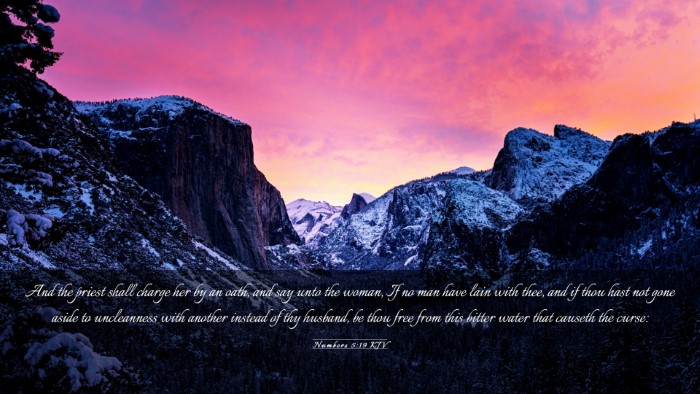 Picture 03 - Numbers 5:19 KJV Desktop Wallpaper - And the priest shall charge her by an oath, and - Desktop Bible Verse Wallpaper