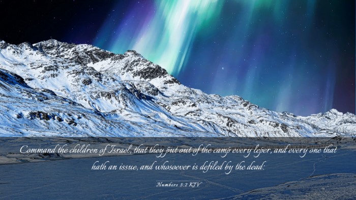 Picture 03 - Numbers 5:2 KJV Desktop Wallpaper - Command the children of Israel, that they put out - Desktop Bible Verse Wallpaper