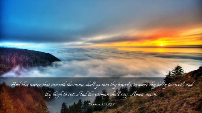 Picture 03 - Numbers 5:22 KJV Desktop Wallpaper - And this water that causeth the curse shall go - Desktop Bible Verse Wallpaper