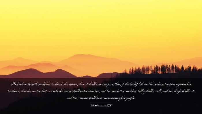 Picture 03 - Numbers 5:27 KJV Desktop Wallpaper - And when he hath made her to drink the water, - Desktop Bible Verse Wallpaper