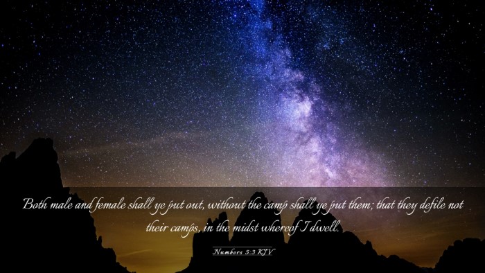 Picture 03 - Numbers 5:3 KJV Desktop Wallpaper - Both male and female shall ye put out, without - Desktop Bible Verse Wallpaper
