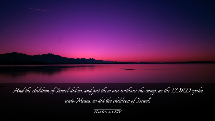 Picture 03 - Numbers 5:4 KJV Desktop Wallpaper - And the children of Israel did so, and put them - Desktop Bible Verse Wallpaper