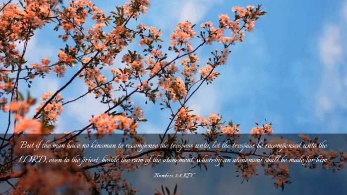 Picture 03 - Numbers 5:8 KJV Desktop Wallpaper - But if the man have no kinsman to recompense the - Desktop Bible Verse Wallpaper