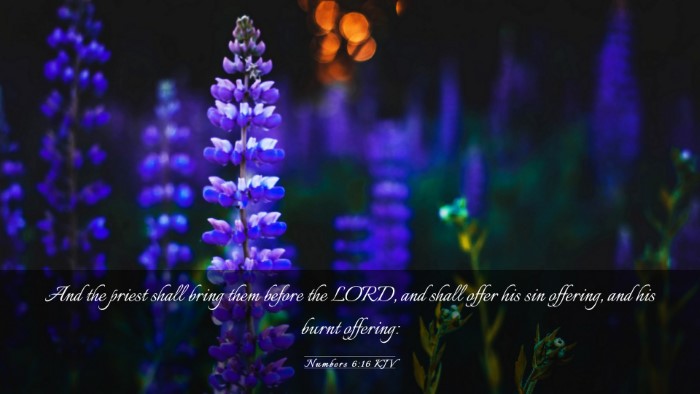 Picture 03 - Numbers 6:16 KJV Desktop Wallpaper - And the priest shall bring them before the LORD, - Desktop Bible Verse Wallpaper