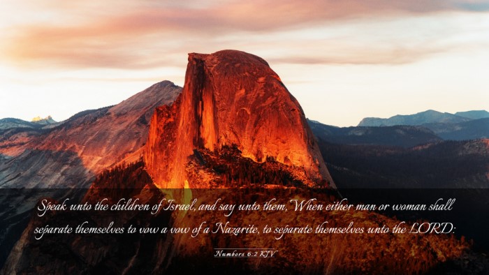 Picture 03 - Numbers 6:2 KJV Desktop Wallpaper - Speak unto the children of Israel, and say unto - Desktop Bible Verse Wallpaper