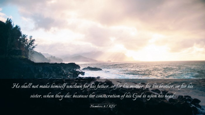 Picture 03 - Numbers 6:7 KJV Desktop Wallpaper - He shall not make himself unclean for his father, - Desktop Bible Verse Wallpaper