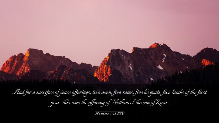 Picture 03 - Numbers 7:23 KJV Desktop Wallpaper - And for a sacrifice of peace offerings, two oxen, - Desktop Bible Verse Wallpaper