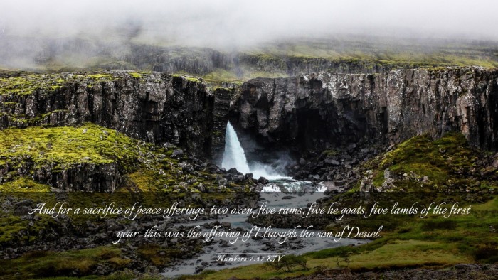Picture 03 - Numbers 7:47 KJV Desktop Wallpaper - And for a sacrifice of peace offerings, two oxen, - Desktop Bible Verse Wallpaper