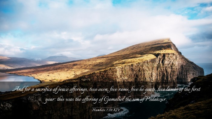 Picture 03 - Numbers 7:59 KJV Desktop Wallpaper - And for a sacrifice of peace offerings, two oxen, - Desktop Bible Verse Wallpaper