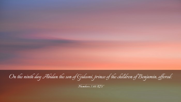 Picture 03 - Numbers 7:60 KJV Desktop Wallpaper - On the ninth day Abidan the son of Gideoni, - Desktop Bible Verse Wallpaper