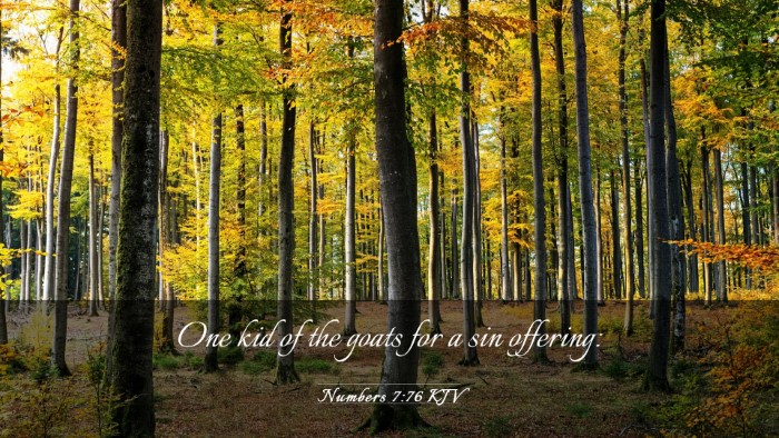 Picture 03 - Numbers 7:76 KJV Desktop Wallpaper - One kid of the goats for a sin - Desktop Bible Verse Wallpaper