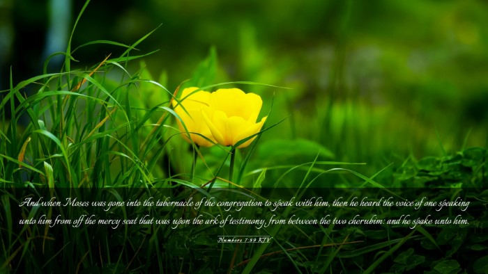 Picture 03 - Numbers 7:89 KJV Desktop Wallpaper - And when Moses was gone into the tabernacle of - Desktop Bible Verse Wallpaper