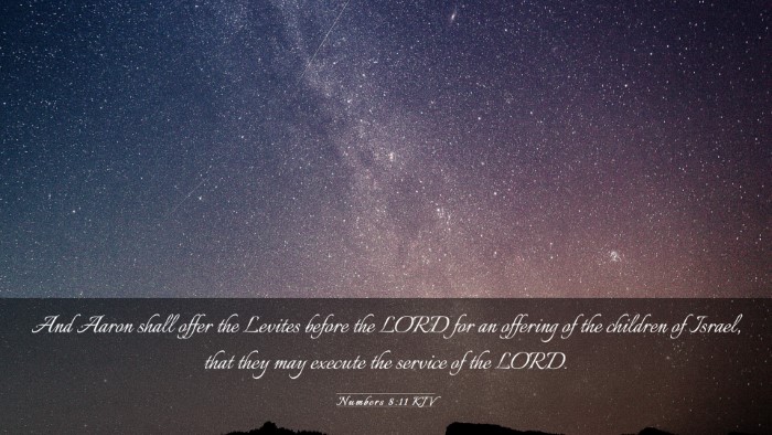 Picture 03 - Numbers 8:11 KJV Desktop Wallpaper - And Aaron shall offer the Levites before the LORD - Desktop Bible Verse Wallpaper