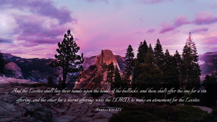 Picture 03 - Numbers 8:12 KJV Desktop Wallpaper - And the Levites shall lay their hands upon the - Desktop Bible Verse Wallpaper